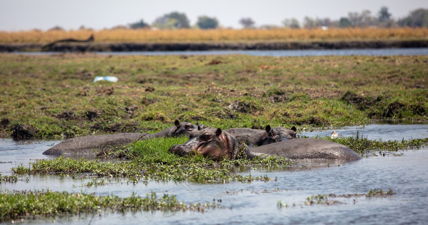 Western Tanzania Safari