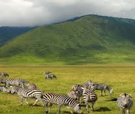 Ngorongoro Crater