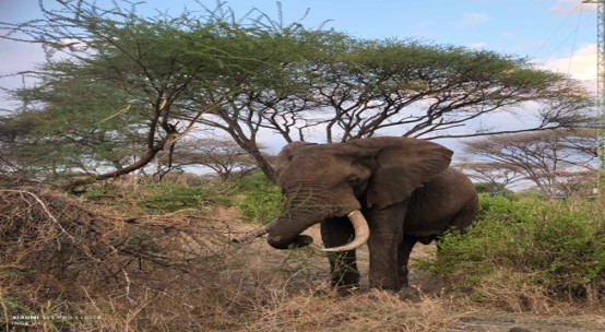 Mto wa Mbu Village & Lake Manyara National Park